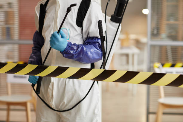 Professional Sewage Cleanup technician working in Arvada, CO